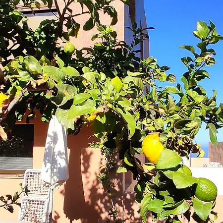 Casa Historia Πανσιόν
